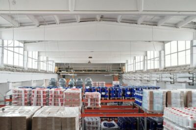 Ensuring Quality Medicines: WHO GDP Audit for Pharmaceutical Manufacturers